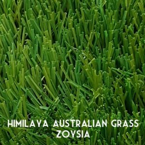 Himilaya-Grass-Zoysia