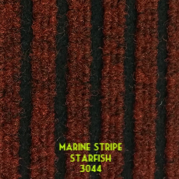 Marine-Stripe-Starfish-3044