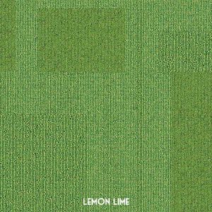 Airlay-Paragon 'Lemon Lime'
