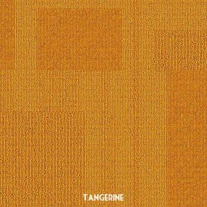 Airlay-Paragon 'Tangerine'