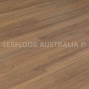 SFC-132 NSW Spotted Gum