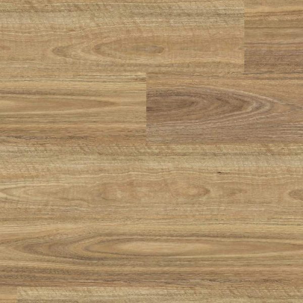 NSW Spotted Gum SFL-4504