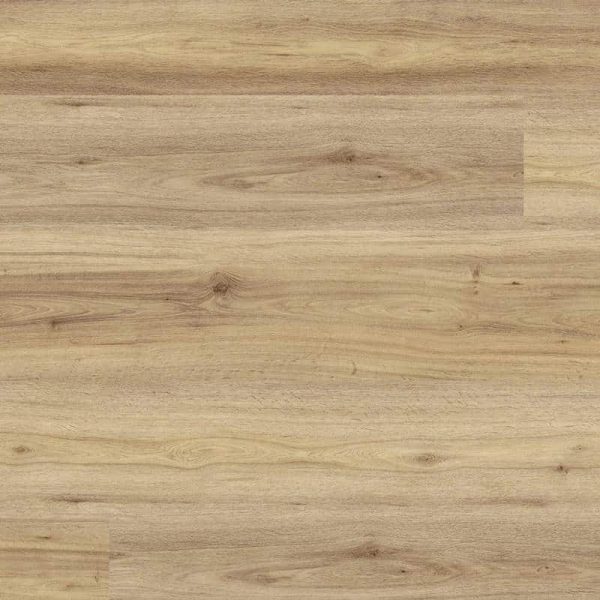 Spotted Gum SFG-3102