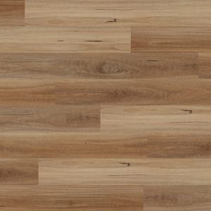 Sk701 Spotted Gum