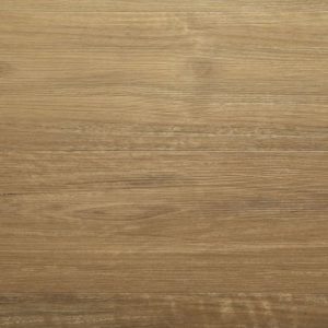 Sk806 River Spotted Gum