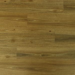 Sk905 Eastern Spotted Gum