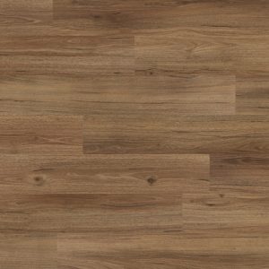 Sk911 Western Spotted Gum