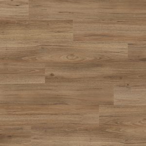 Sk912 West Coast Spotted Gum